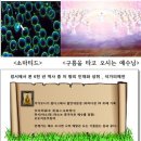 삼보리