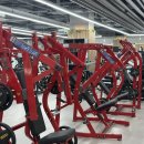 우만 | 우만동헬스장 테이스트피트니스PT 수원우만점 후기 | 연무동헬스 추천