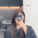G13-2 | 왕십리미용실 , 헤어컨설팅 전문 톤트헤어 전지호부원장님 전체염색 후기 | 가을헤어컬러