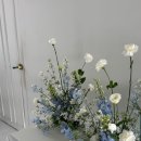 코지포레스트 - 안양시 동안구 학의로 90 | Wedding3🤍.코지포레스트(플라워디렉팅) 촬영 후기
