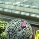 김박사약국 이미지