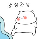 부산요트투어요트아일랜드