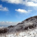 2016년1월 첫정기 눈꽃산행 소백산(1.439m) 이미지