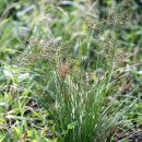 하늘지기 이미지