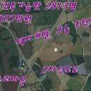 조수리엔 이미지