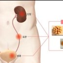 덕천요편한비뇨기과의원 이미지