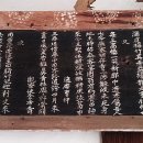 율수재(聿修齋) Daum카페