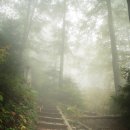 서산등산로2코스 이미지