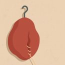 몽드로쉐 이미지