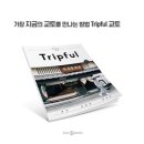 교토앤하루
