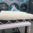 세븐일레븐대전갈마점 이미지