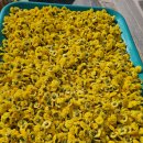 옥산1리 마을회관 이미지