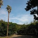 한라수목원 이미지