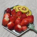 강남fruit