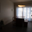 스테이그라피 이미지