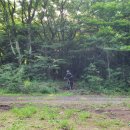 잔듸민박 이미지