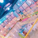 몽이네 맡겨보시개 이미지