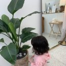 딜라잇 살롱