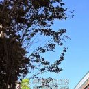 위례성대로22길 이미지