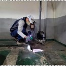 IPM방제 안전한 공간을 만드는 원에스엠종합관리와 함께하세요