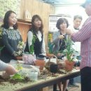 어룡초교 이미지