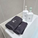 스테이 루비 이미지