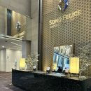 삼성(아) | 삼성역 결혼식장 베뉴 소노펠리체 컨벤션 식장 하객 연회장 후기 가방순이의 활약