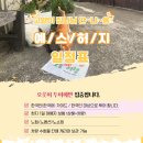 예스패키지