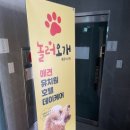 놀러오개 애견유치원 애견호텔 풍동식사점 네이버블로그
