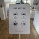 달맞이길 | 해운대 달맞이길 무브먼트랩 쇼룸 방문 후기 - 가구 쇼룸 (잭슨카멜레온, 무니토 소파)