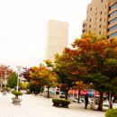 대흥회관 이미지