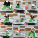 놀러오개 불로점 이미지