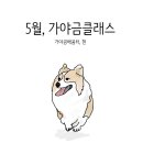 단미지