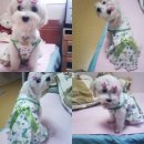(주) 새원 Daum카페