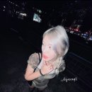 도영1호 이미지