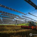 지시태양광발전소 이미지