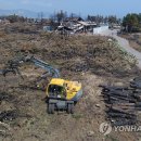 소나무PC방 이미지