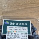 발효농법 노지 블루베리 1kg 50,000원 이미지