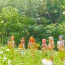 아일리원 카카오 검색결과