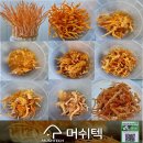 하초 이미지