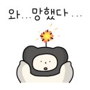석모 포레 이미지