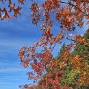 동영천골프랜드 이미지