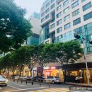 뚜두리빙 | 정자동 파스타 그램스 그라운드 : Gramps Ground