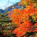 영산세탁소 이미지