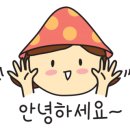 카매니아 모터스 이미지