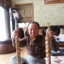 예락원