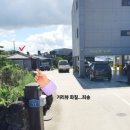 더제주1033