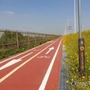 평화누리자전거길 이미지