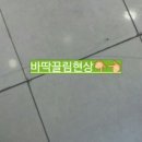 조재진 동물병원 네이버블로그