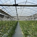 김인호농장 이미지